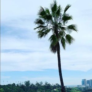 Meet your Posher, Therese